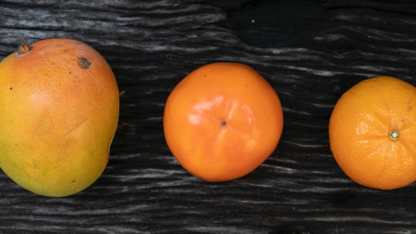 fruits