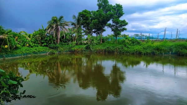 kotrakhali