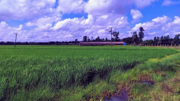 kotrakhali