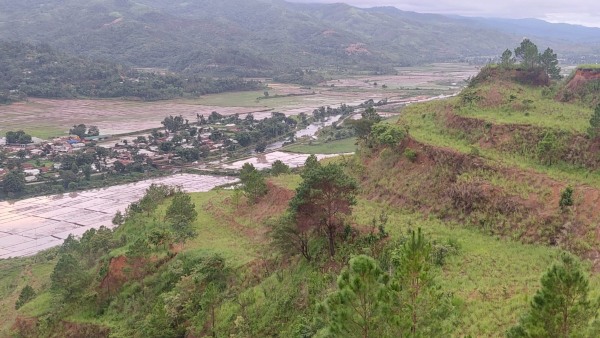 গোলাগুলি-হিংসার কোপে মণিপুরের চাষাবাদ