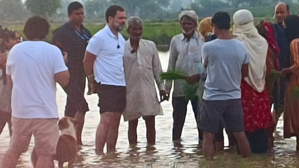  Rahul Gandhi