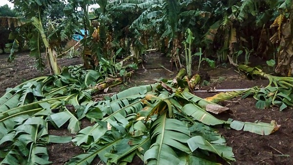 আবহাওয়া আবহাওয়া