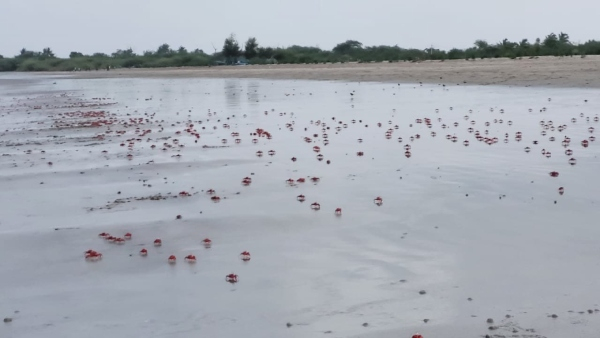 Baguran Jalpai Baguran Jalpai