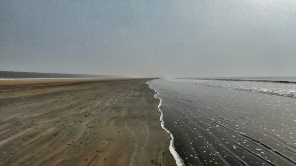Parikhi Sea Beach Parikhi Sea Beach