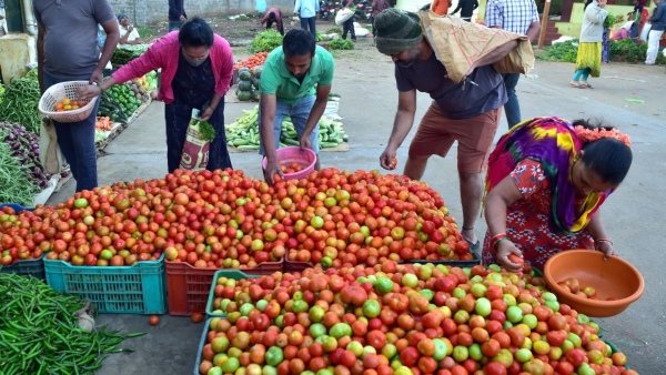 Tomato Price Hike Tomato Price Hike