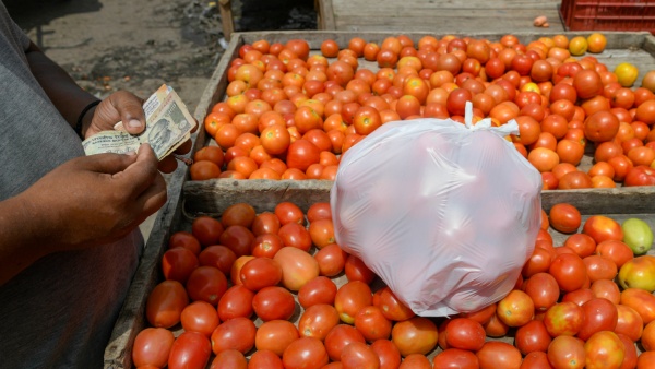 Tomato Prices Increasing