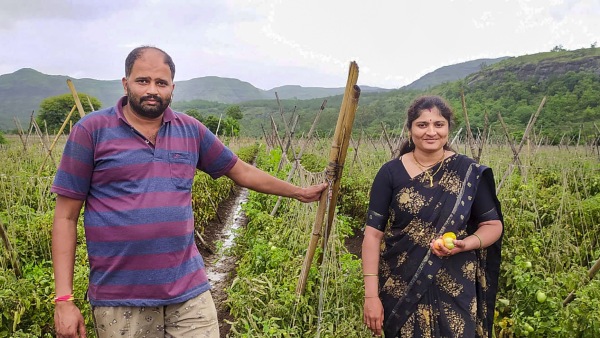 Tomato Price: মহারাষ্ট্রের কৃষকের পর টম্যাটো বেচে কোটিপতি তেলঙ্গানার মহীপাল Tomato Price: মহারাষ্ট্রের কৃষকের পর টম্যাটো বেচে কোটিপতি তেলঙ্গানার মহীপাল