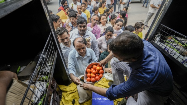 Tomato Price: টম্যাটোর দাম হবে ৩০০ টাকা কিলো!