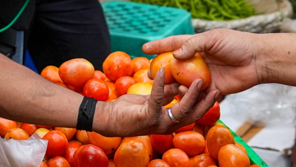 Tomato Price Rise: পণ্যবাহী গাড়ি হাইজ্যাক করে ১.৬ লক্ষ টাকায় টম্যাটো বিক্রি! 