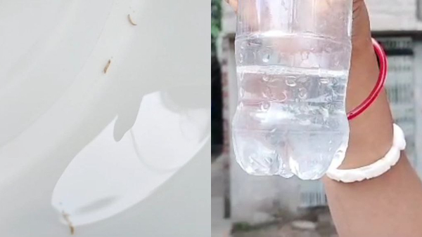 Water Problem: পানীয় জলের সঙ্গে পোকা ফ্রি! 