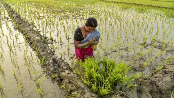 আবহাওয়া