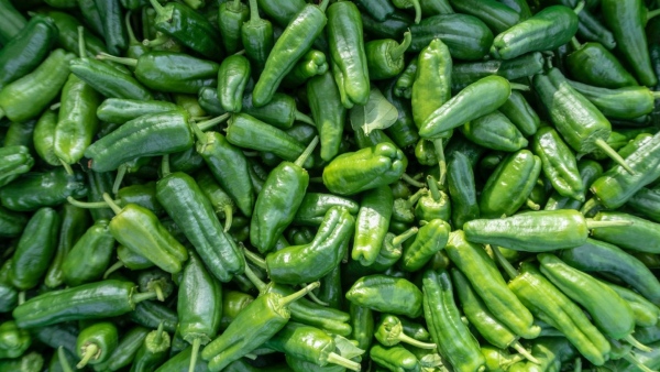 Benefits of Chilli Benefits of Chilli