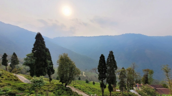 Sinji Kalimpong Sinji Kalimpong