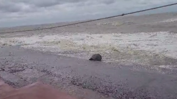 digha digha