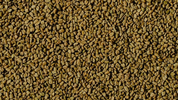 Benefits Of Fenugreek Seeds