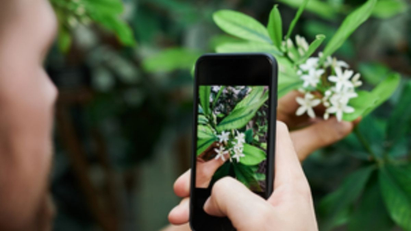 Gulkhaira Farming Gulkhaira Farming