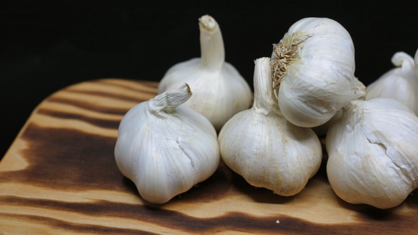 garlic