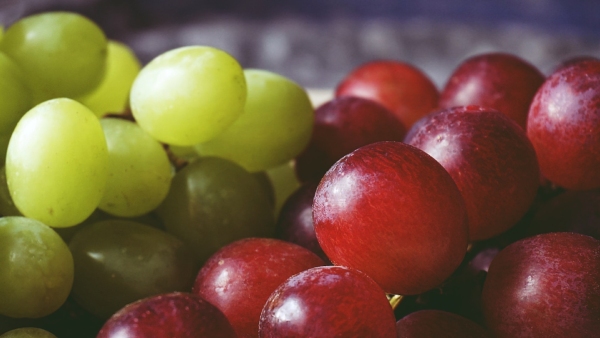 Health Benefits Of Grapes Health Benefits Of Grapes