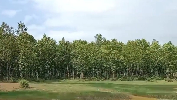 Gurguripal Eco Park Gurguripal Eco Park