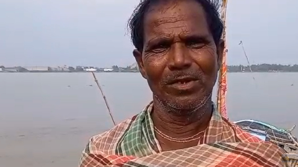 Hilsa Fish Hilsa Fish