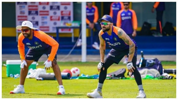 রোহিত রোহিত