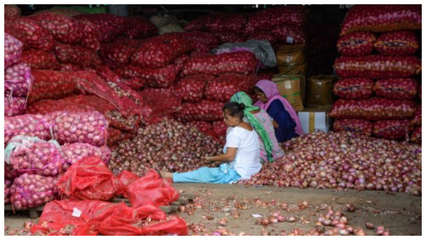  Onion Price