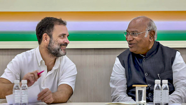 Lok Sabha Election 2024: রাহুল লোকসভা ভোটে লড়বেন আমেঠী থেকে