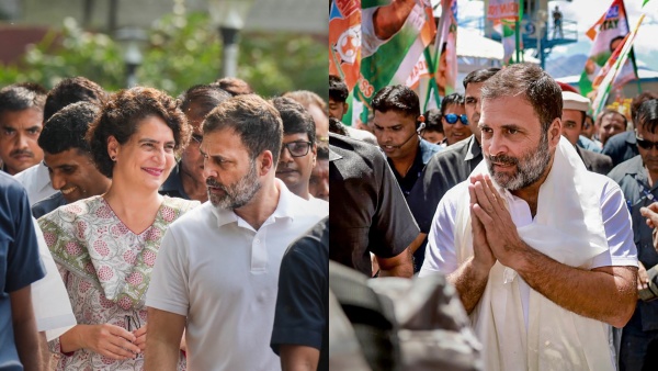 Lok Sabha Election 2024: রাহুল লোকসভা ভোটে লড়বেন আমেঠী থেকে