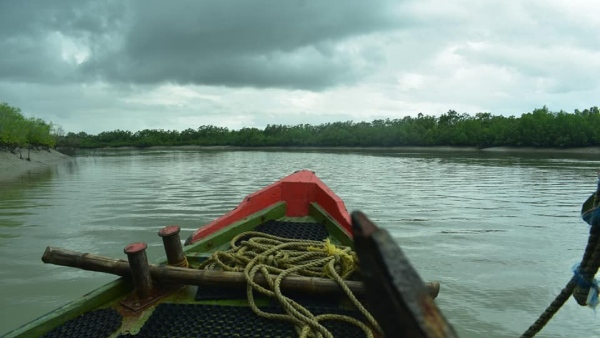 Ilish Festival Sundarban