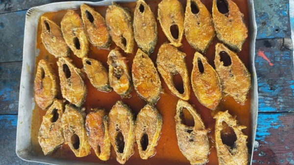 Ilish Festival Sundarban