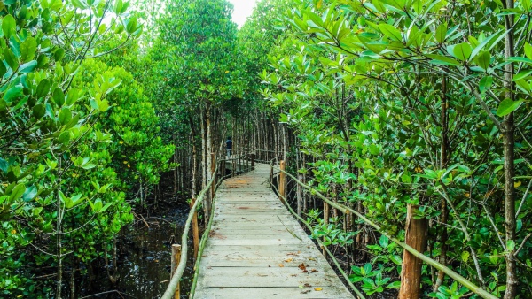 West Bengal Tourism