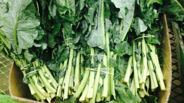 Magnesium Rich Foods