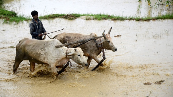 West Bengal Weather West Bengal Weather