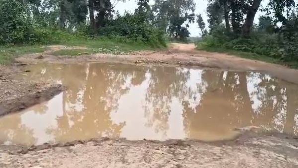 চন্দনা বাউরি