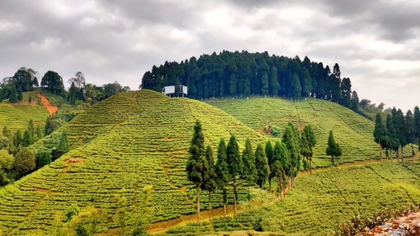 north bengal tourism