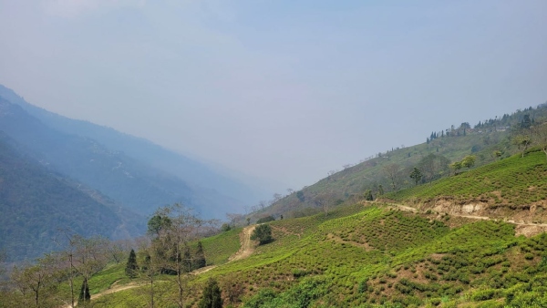 Zimba Gaon