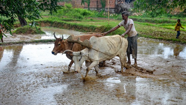 বৃষ্টিপাত 