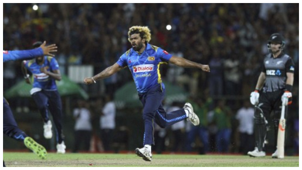 মালিঙ্গা