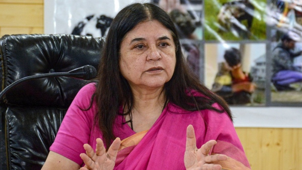 Maneka Gandhi Maneka Gandhi