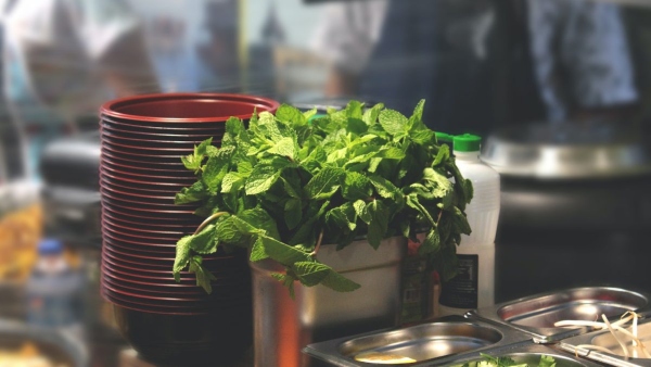 mint leaves mint leaves