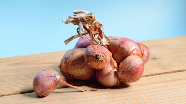Onion Benefits