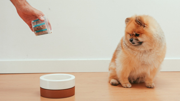 Business Ideas Under 10000