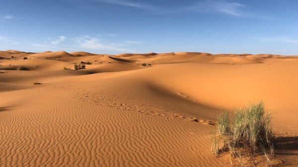 Sahara desert