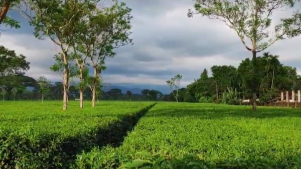 বিজেপি-তৃণমূল-বাম-কংগ্রেস সবাই একই দলে!
