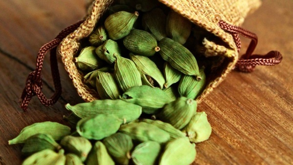 Benefits of Cardamom Benefits of Cardamom