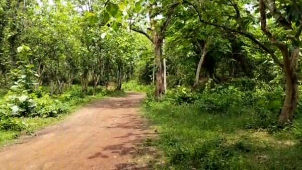 Travel