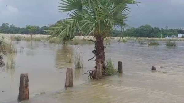 Bengal Flood