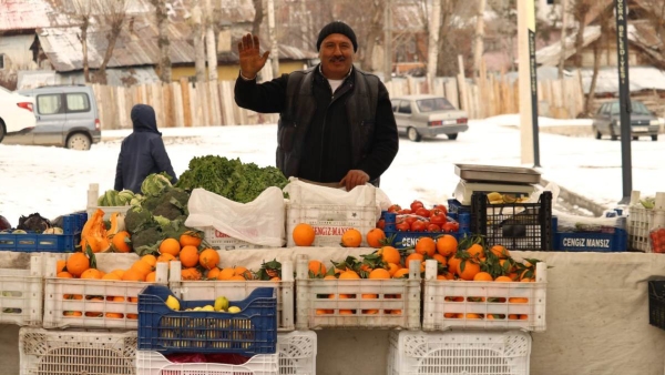 Winter Special Fruits
