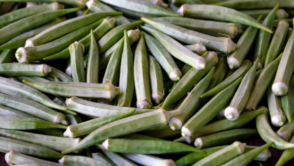 Okra Water