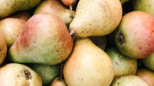 Benefits Of Pears Benefits Of Pears